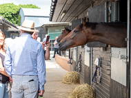 PN210822-171 - Paul Nicholls Stable Visit